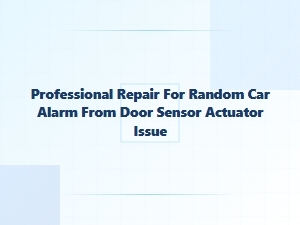 Diagnosing Random Car Alarm Triggers From Door Sensors