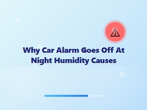 Why High Humidity Triggers False Car Alarms at Night